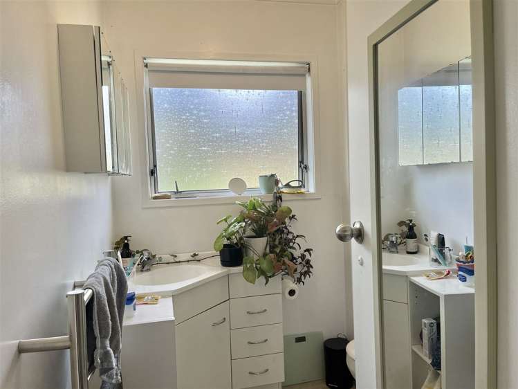 9/42 Sheridan Drive New Lynn_3