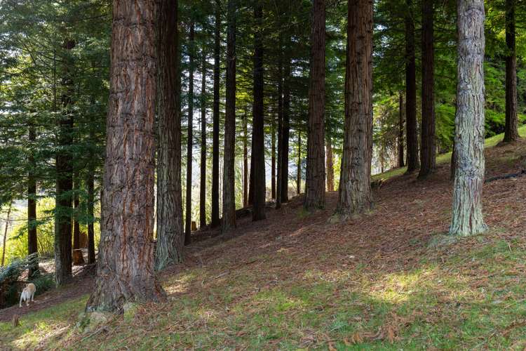 273 College Street Motueka_22