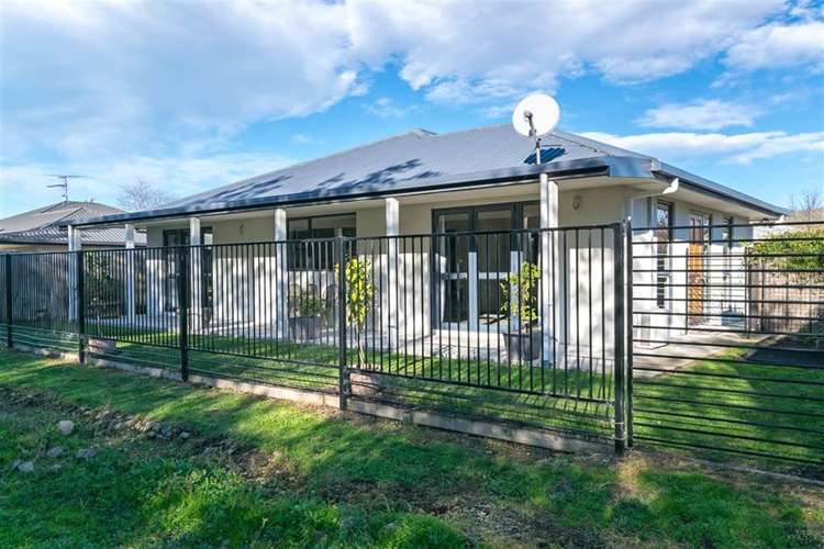 42a Cashmere Grove Witherlea_12