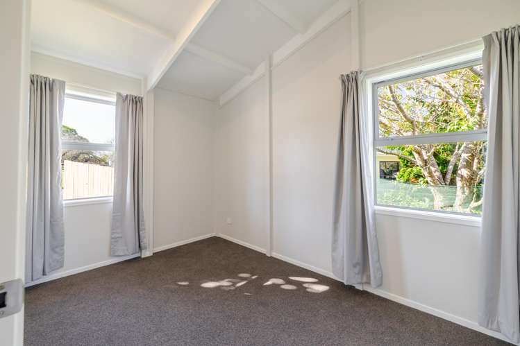 7 Fagan Street Bulls_14