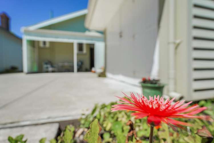 61 Cook Street Hamilton East_23