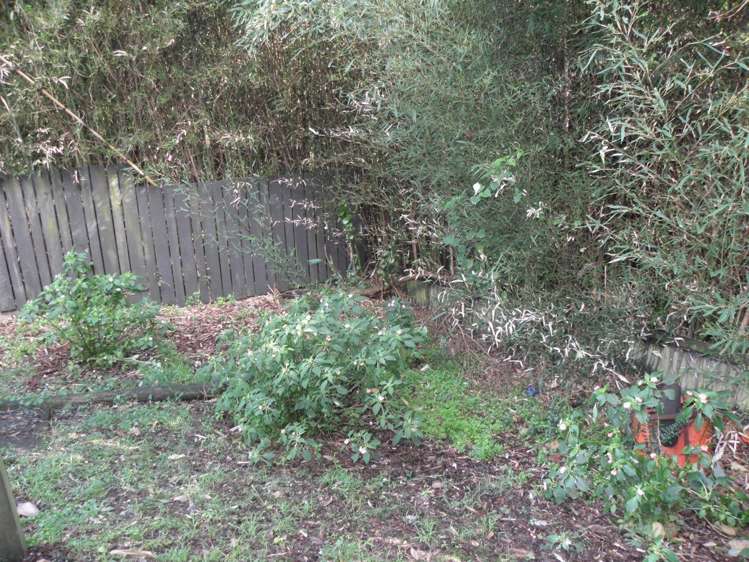 2/45 Seabrook Avenue New Lynn_17