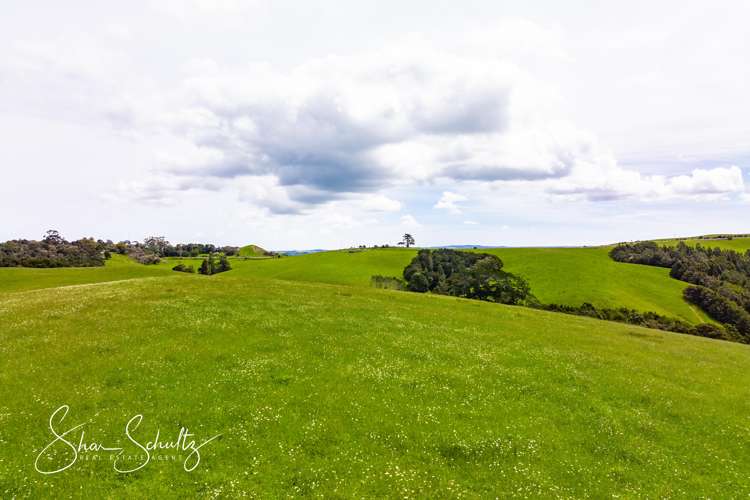 1509 Tinopai Road Tinopai_12