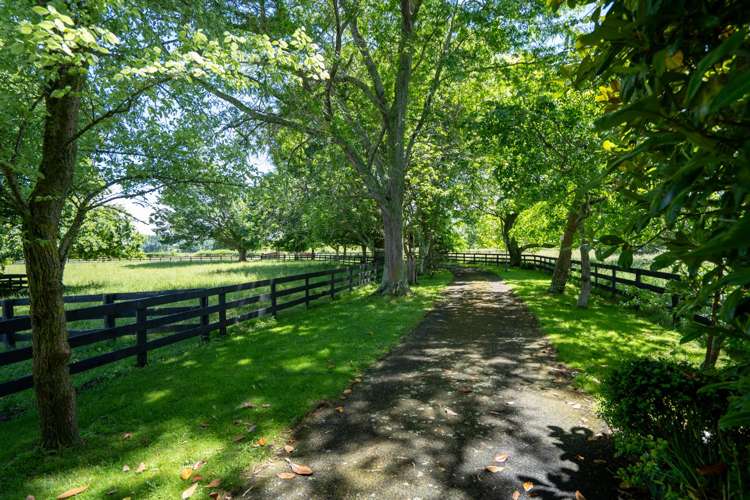 146 French Pass Road_2