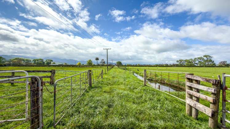 264 Matatoki Road Matatoki_25