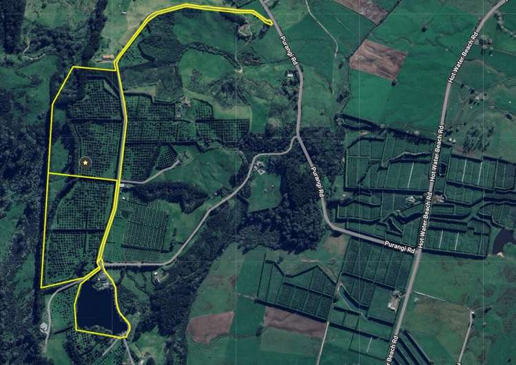 121C Purangi Road Whenuakite_14