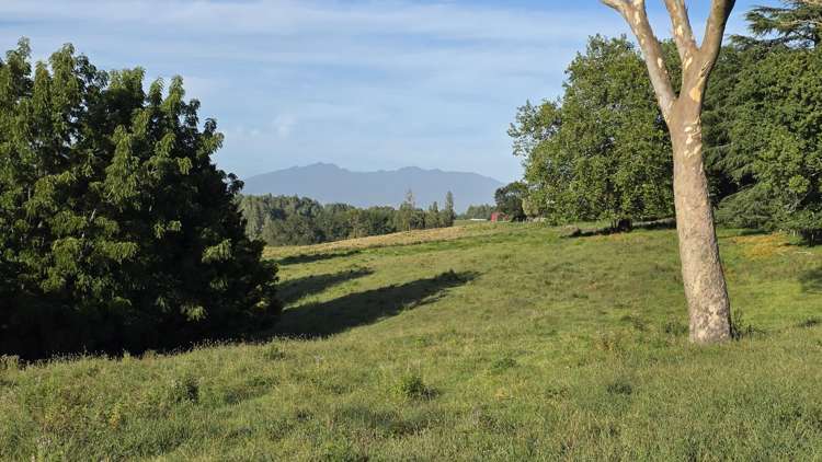 179 Mcgregor Road Ngahinapouri_14