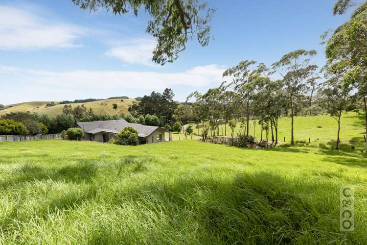 589 Inland Road Helensville_42