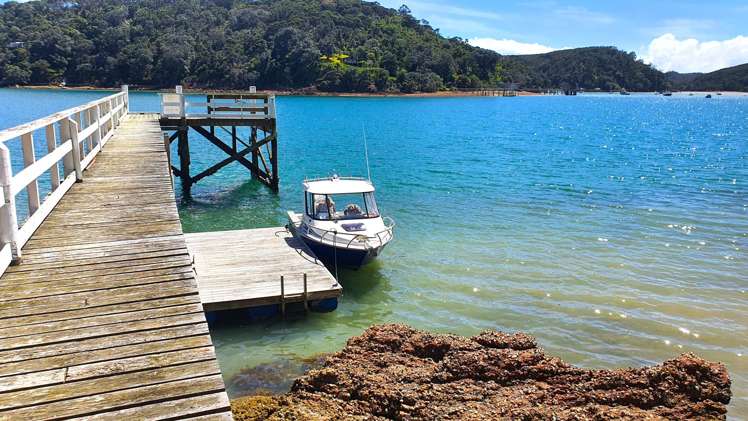 Lot 171/DP6849 North Cove Kawau Island_5