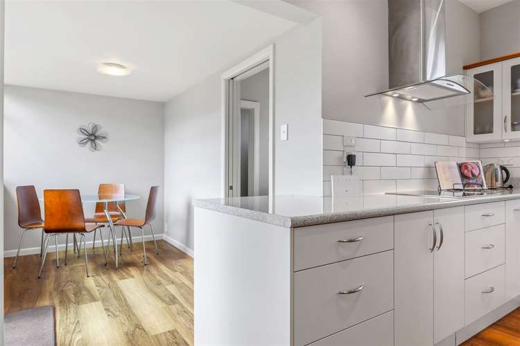 40 Diamond Avenue Spreydon_3