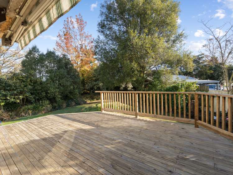 20 Brydon Street Renwick_13