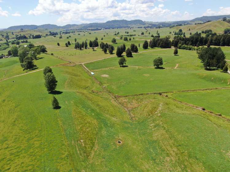 967 Ohura Road Aria_14