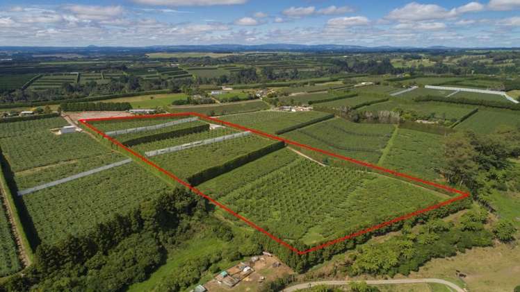 748 No 1 Road Te Puke_2