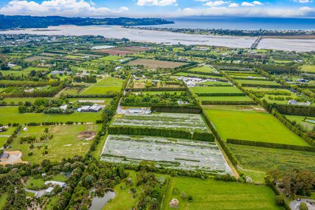 242A and 242B Omaha Flats Road Matakana_1