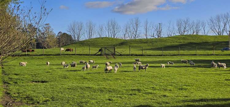 94 Oturoa Road Hamurana_10