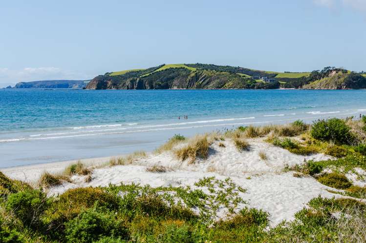 245 Matakana Road Warkworth_18