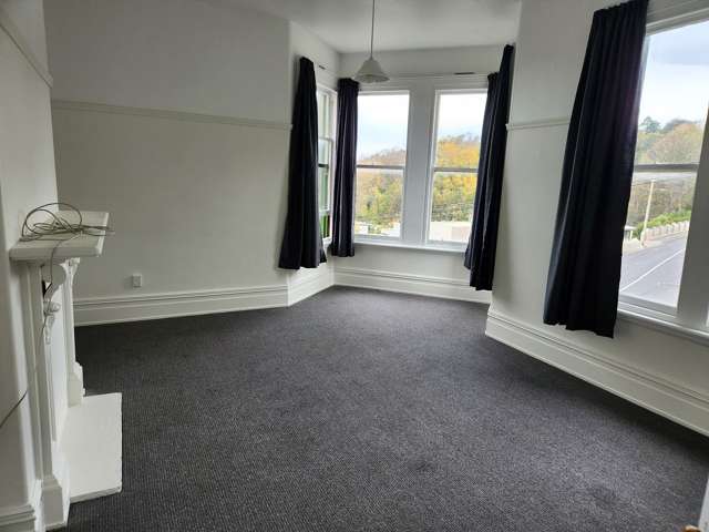 124 Stafford Street Dunedin Central_2