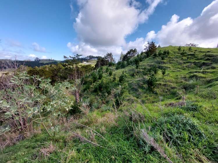 Lot 1/24 Kamea Place Maungaturoto_6