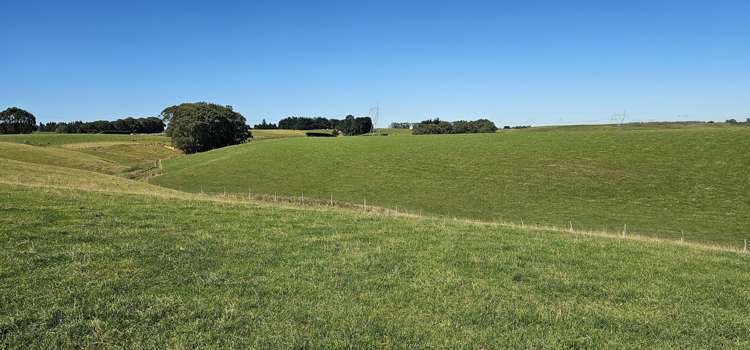 1550 Waimumu Road Te Tipua_11