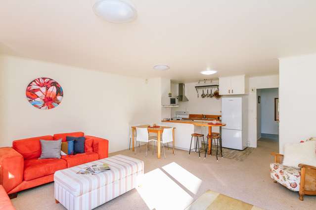 3/25 Nelson Street Petone_2