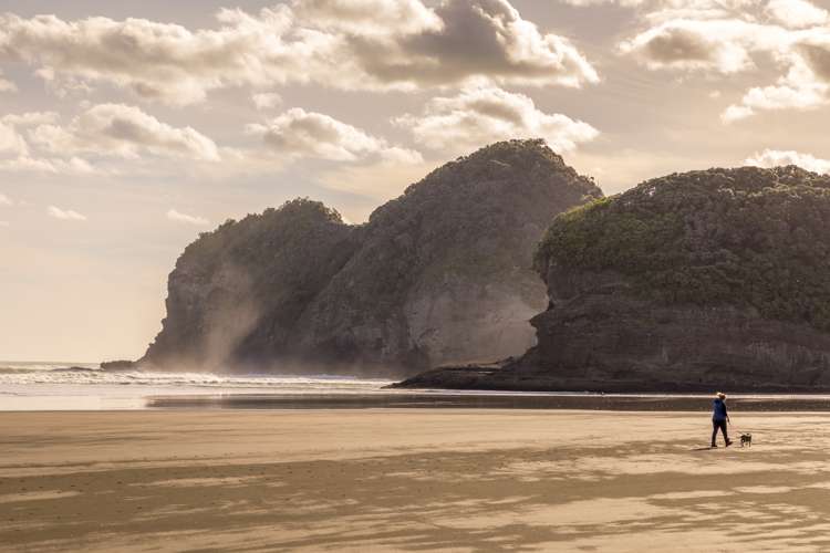 12 Tasman View Road Bethells Beach_30