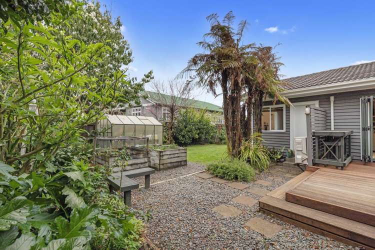8 Sanders Avenue Morrinsville_15
