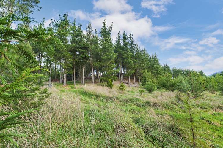 49B Dalbeg Road Balcairn_8