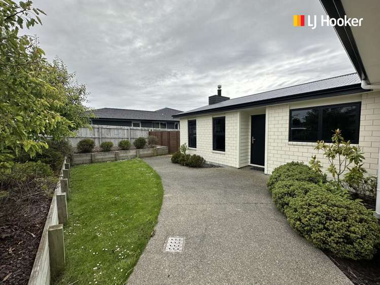 8 Hilltop Crescent Corstorphine Dunedin City Houses for Rent