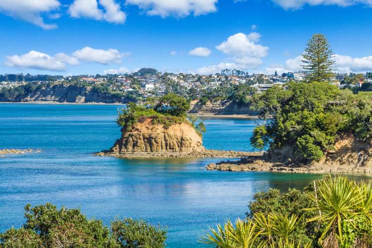 7 Ringwood Street Torbay_33