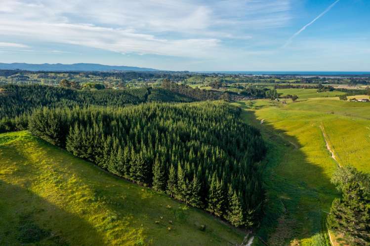 182 Malling Road Redwood Valley_45