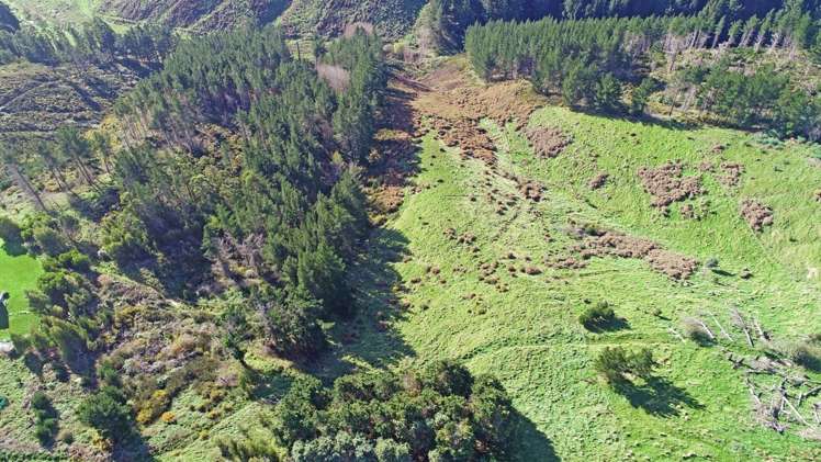 345a Worsleys Road Cracroft_16