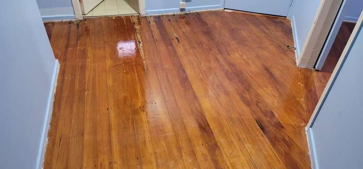 85 Bruce Road Glenfield_12