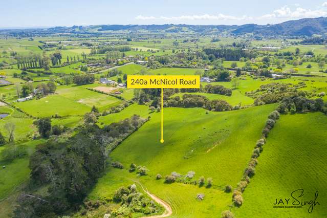 240a Mcnicol Road Clevedon_4