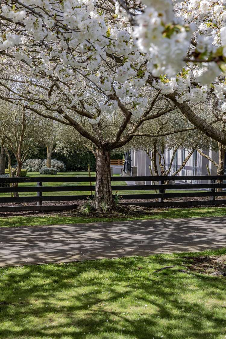 184 Vicenza Drive Ohoka_42