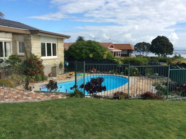 123 Waratah Street Matua_2