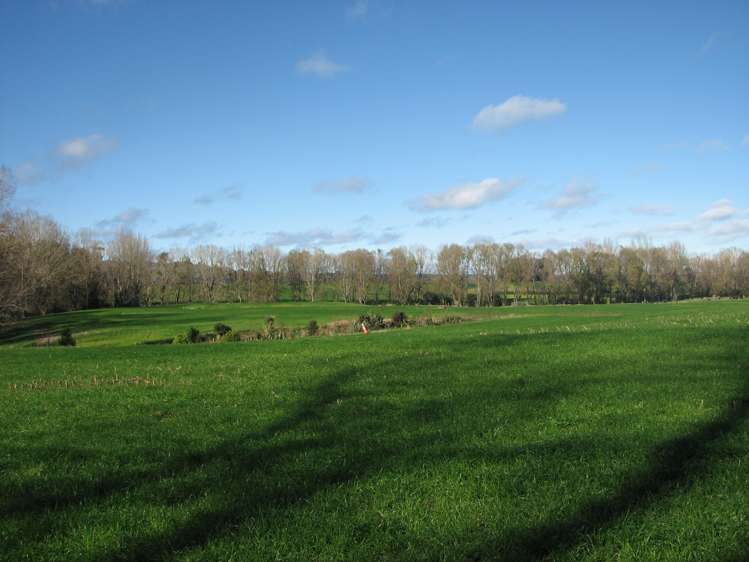 Smith Road Otorohanga_1