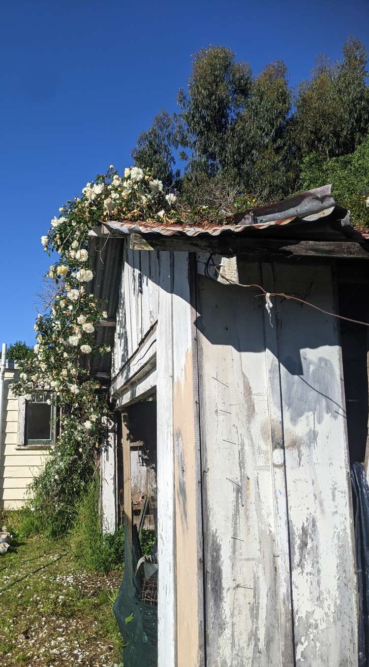 57 Union Street Waihi_18