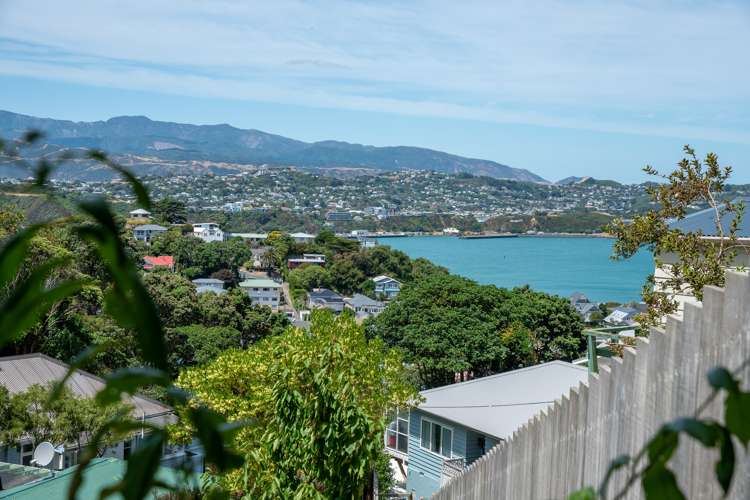 40 Rakau Road Hataitai_15