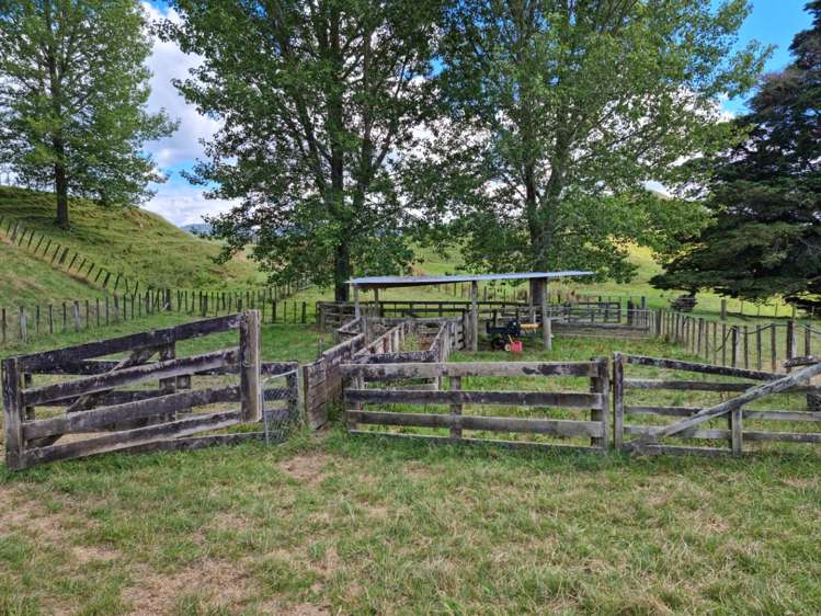 3779 Whanganui River Road (State Highway 43) Ruapehu-King Country Surrounds_23