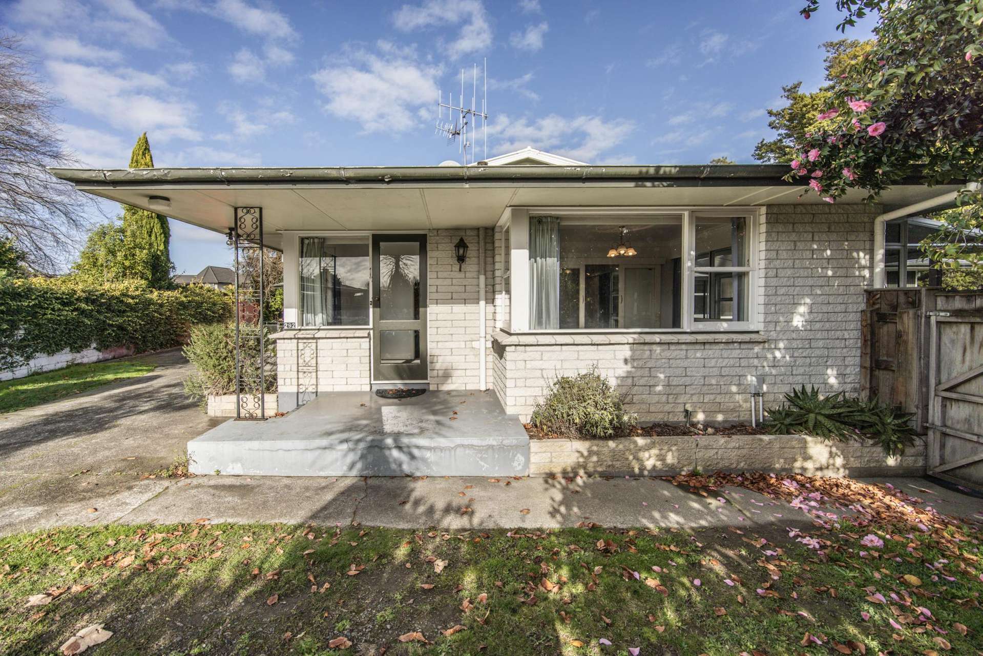 292 Park Road Hokowhitu_0