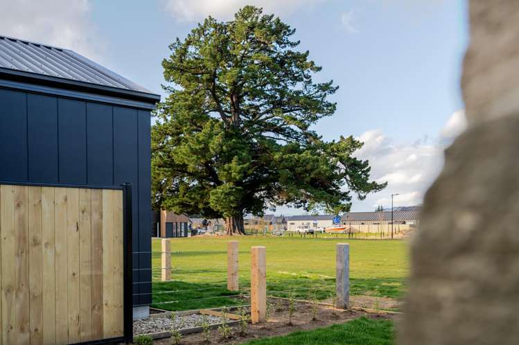 119 Wooing Tree Avenue Cromwell_23