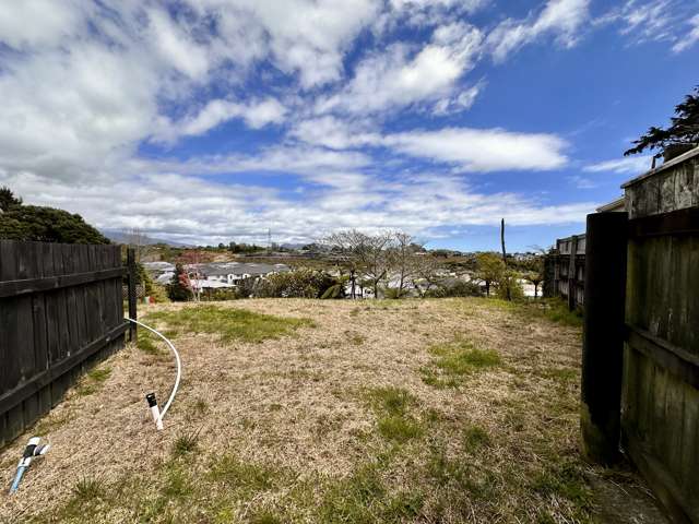 466A Carrington Street Upper Vogeltown_2