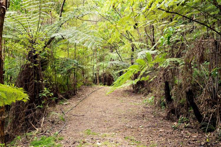 11 Edward Road Tamaterau_12