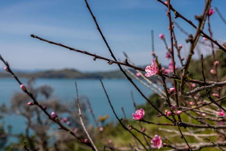 27 and 31 Hunterville Road_5