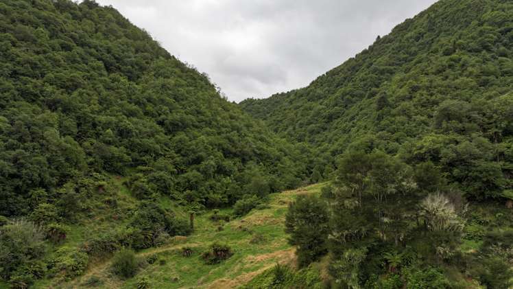 7957 State Highway 2 Opotiki Surrounds_8