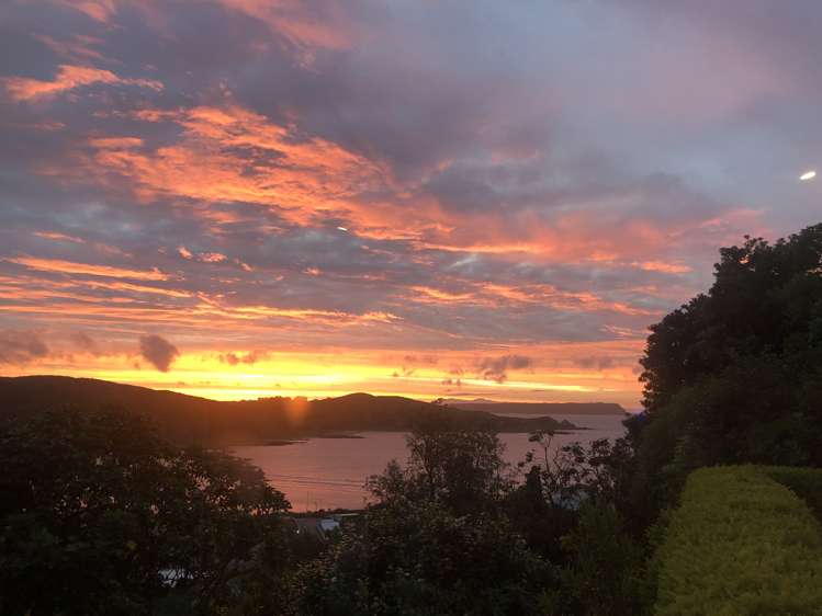 29a Acheron Road Paremata_22