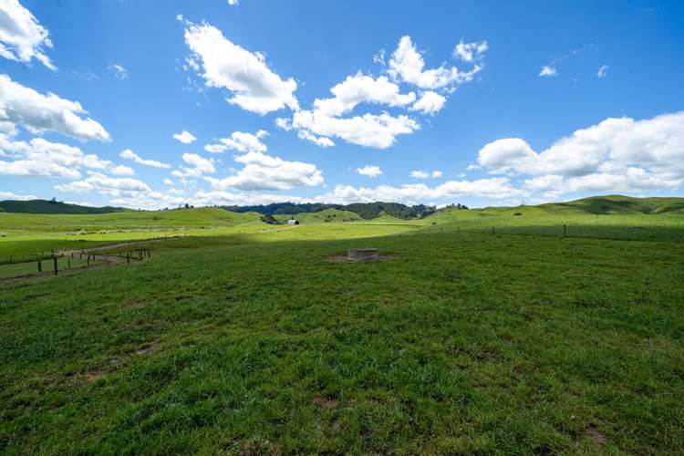 360 Manuel Road Tauhei_8