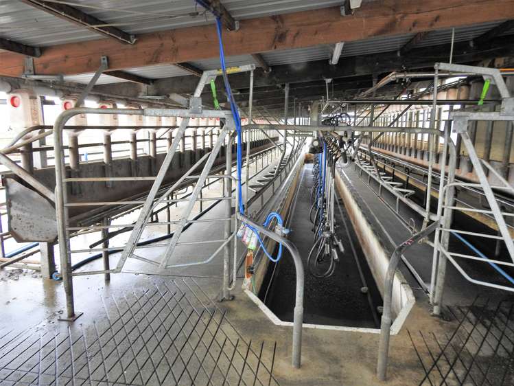 82 Pike Road Winton Surrounds_13