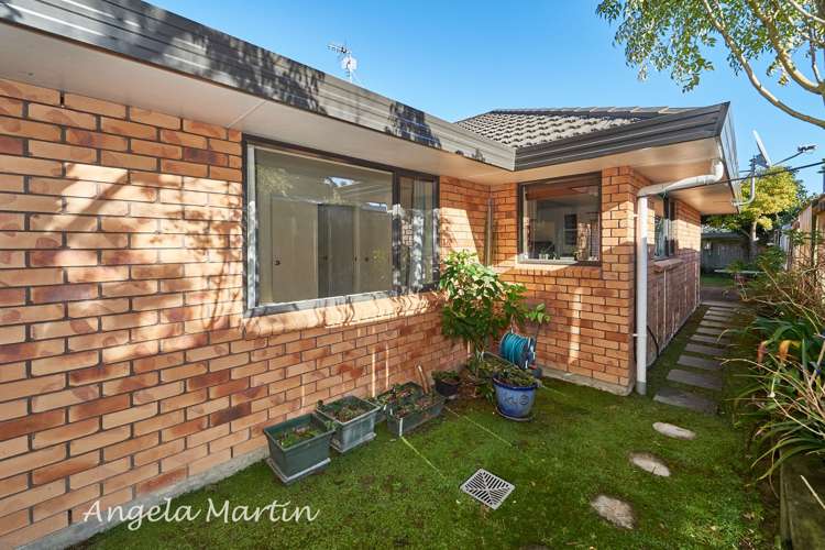 28a Rainforth Street Roslyn_13