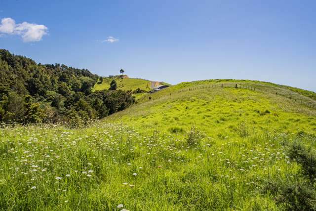 Hailes Road Whananaki_4